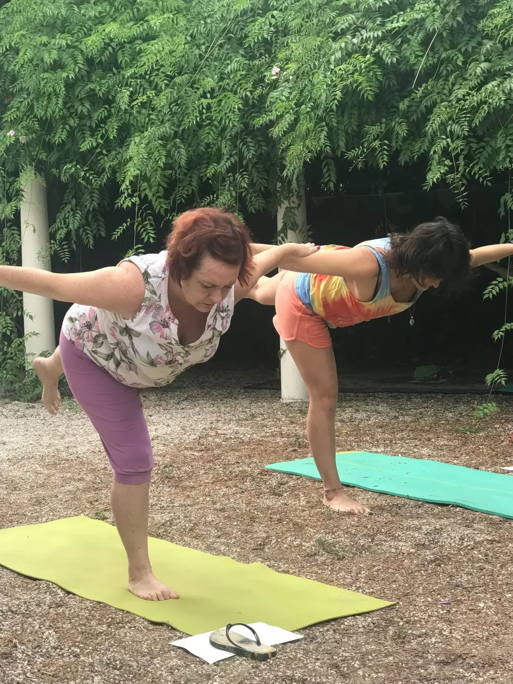Fotografía del archivo original de Viniyoga Internacional