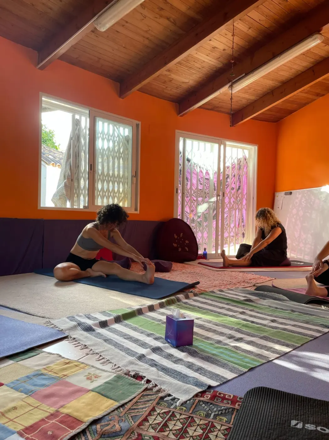 Fotografía del archivo original de Viniyoga Internacional
