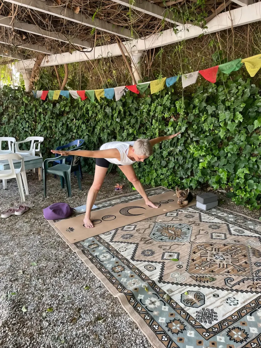 Fotografía del archivo original de Viniyoga Internacional